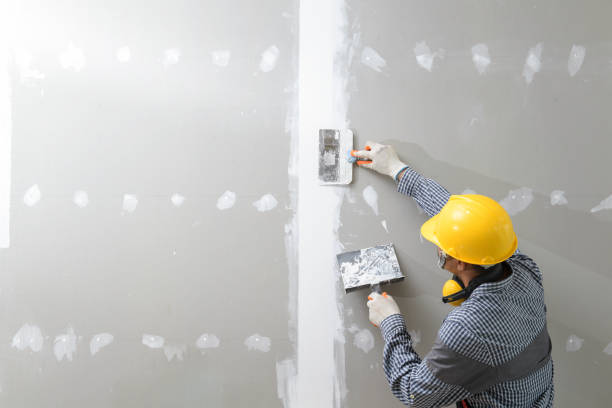 Best Drywall Sanding and Smoothing  in USA